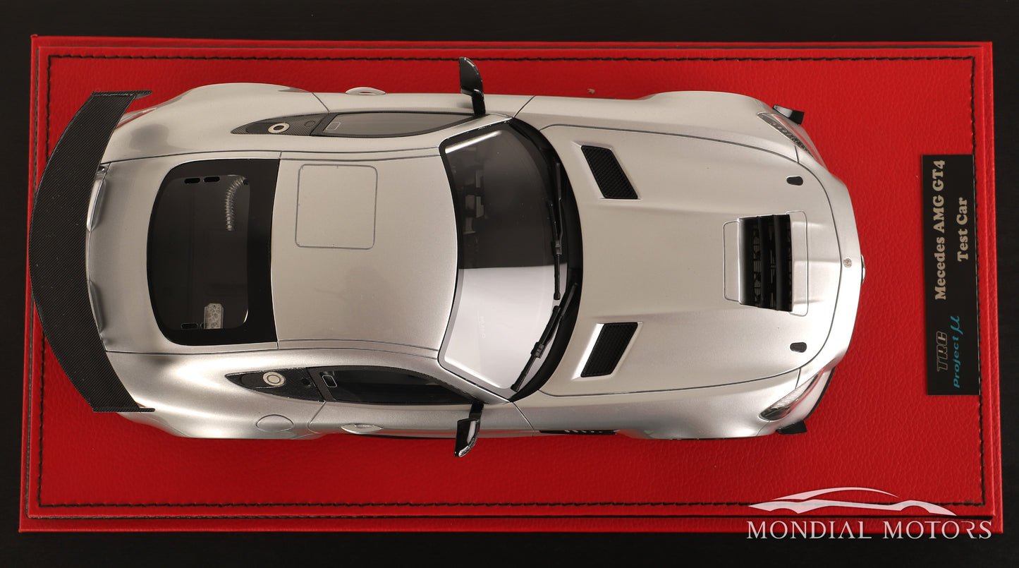 Mercedes-AMG GT4 Test Car 1:18