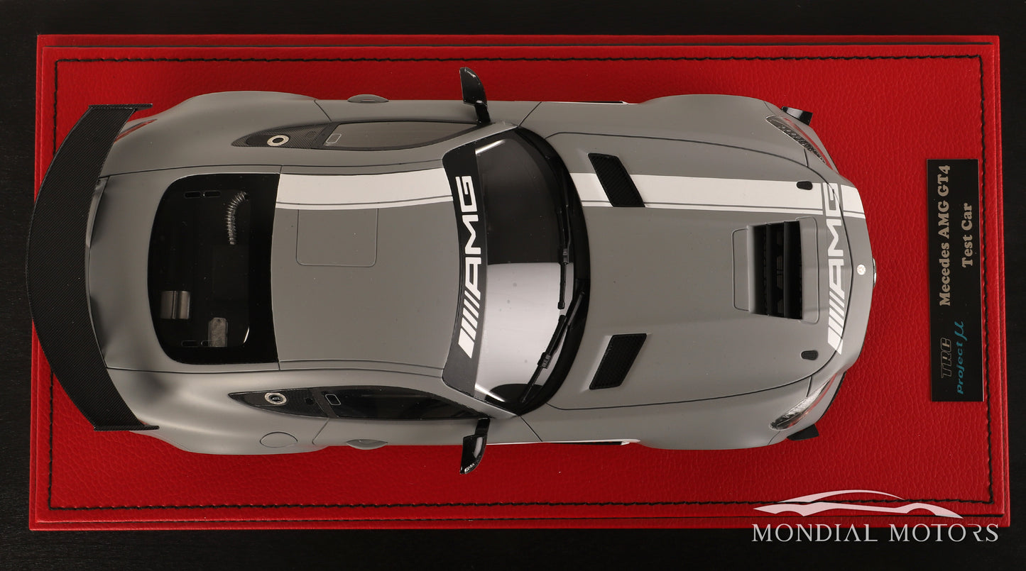 Mercedes-AMG GT4 Test Car 1:18