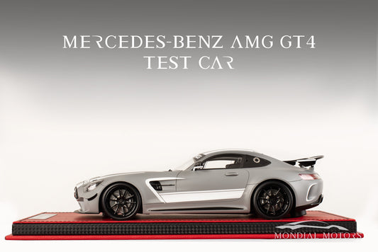 Mercedes-AMG GT4 Test Car 1:18